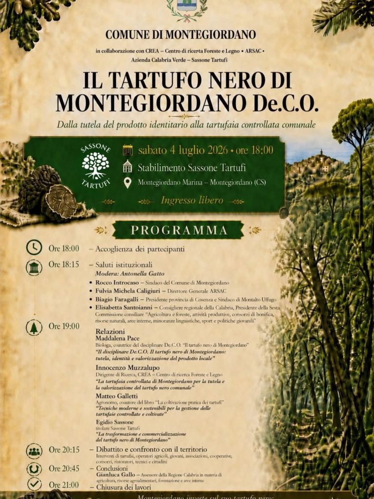 Immagine del post